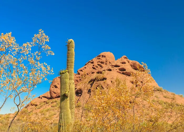 Сasa de vacaciones Desert Foothills *